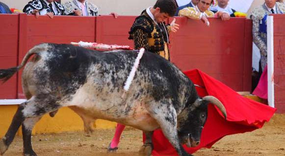 Un muletazo pausado de Luque esta tarde en Cabra.