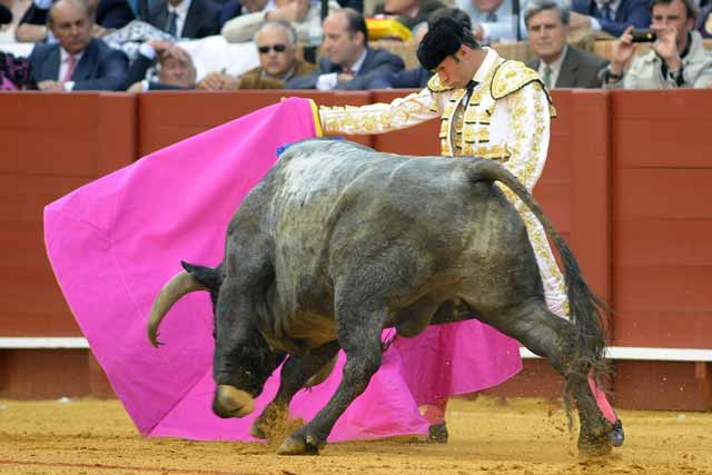 El diestro Antonio Ferrera recibe con suaves capotazos al primero de la tarde.