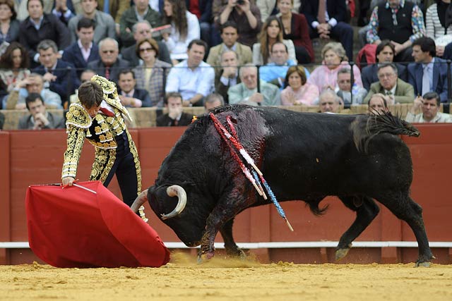 Derechazo largo y profundo del torero sevillano, imprimiendo cadencia y ritmo.