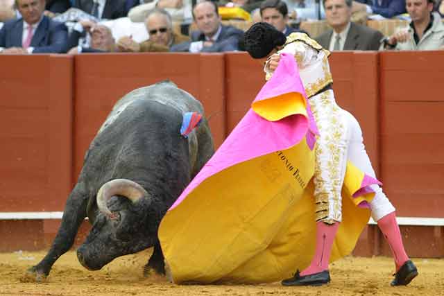 Por el lado izquierdo se desplaza mejor el astado de Victorino Martín.