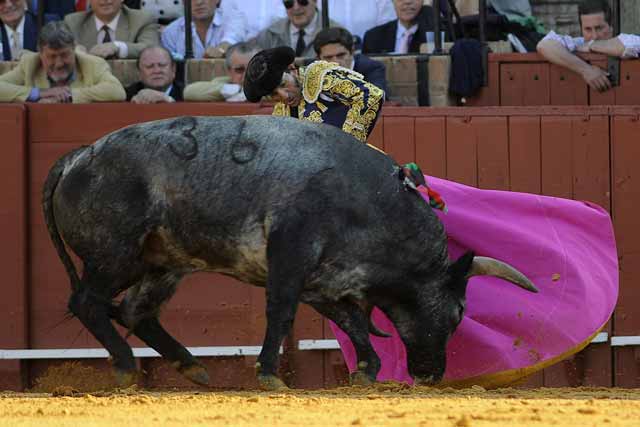 Con el único Miura que estoqueó se gustó por verónicas y  su media.