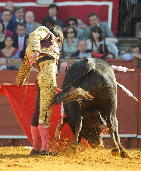 Excelente ritmo y temple en el muletazo con la izquierda.