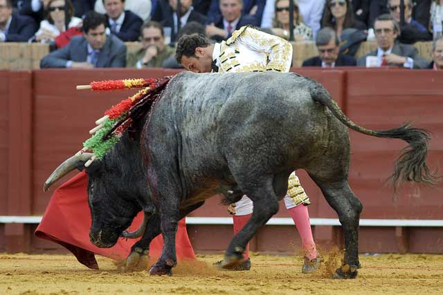 Ferrera se sobrepuso al susto del percance e inicia la faena.