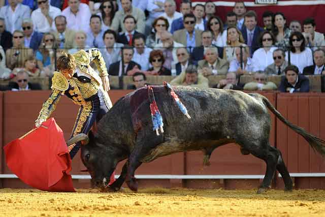 Padilla intentó que el miura quisiera coger la bamba de su muleta.