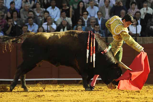 Buen concepto del toreo de este madrileño.