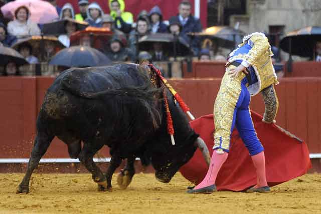 Oleeeee.... La Maestranza cruje, se levanta, se frota los ojos y vibra con El Juli.