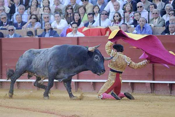 Afarolado de rodillas de Rafaelillo en el tercero. (FOTO; Matito)