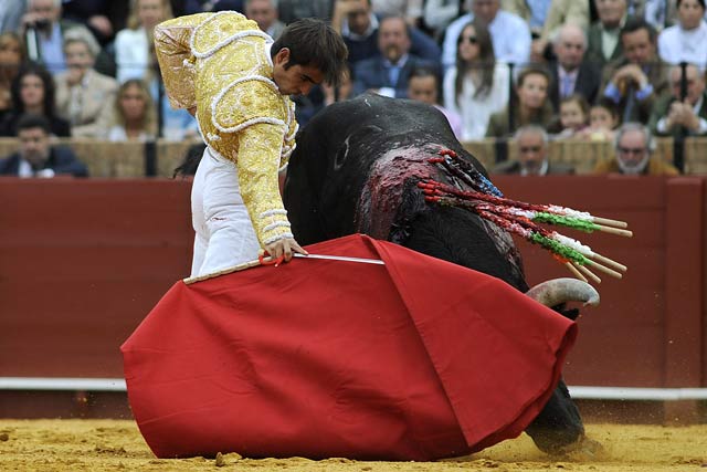 Macías toreando sobre la diestra.