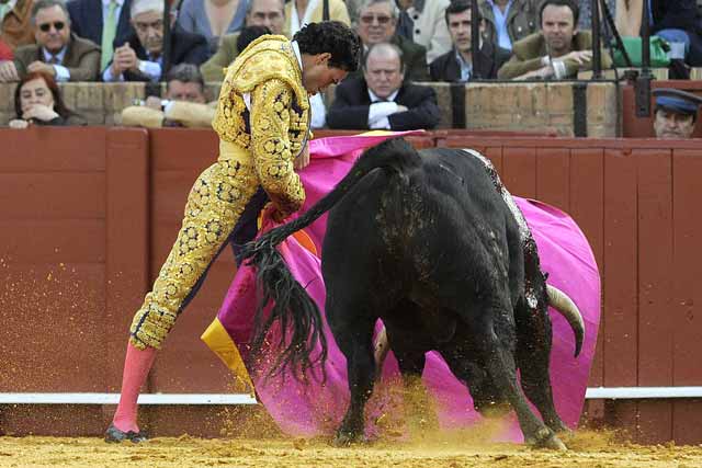 Se levantó sin mirarse, cogió el capote y otra vez al toro.