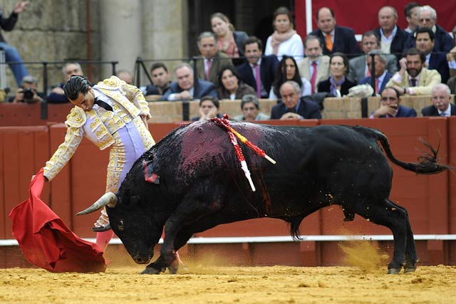 Toreando sobre la mano derecha largo y templado al de Palha.