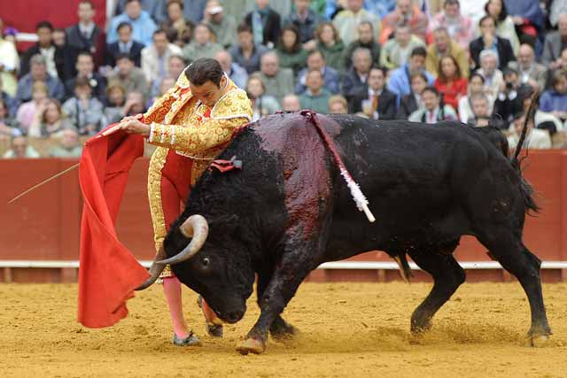 Esto fue lo poco que se dejó hacer el sobrero de Toros de la Plata.