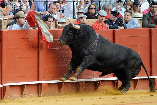 El quinto tuvo que ser sustituido, el bueyero estuvo cumbre