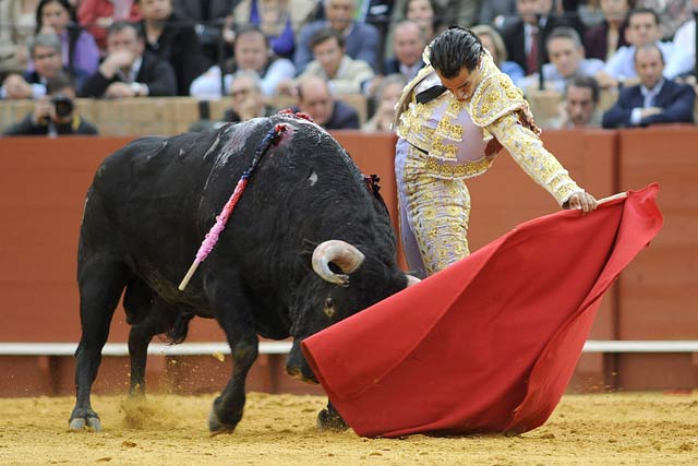 Tirando del astado al natural.