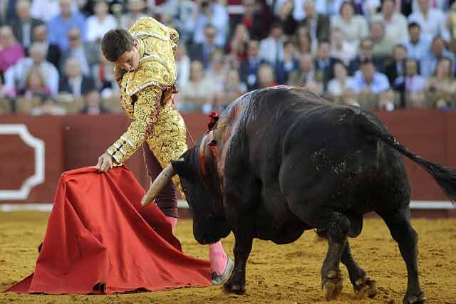 El animal cae 'patas arriba' a los pies del rey de la Maestranza hoy: El Juli.