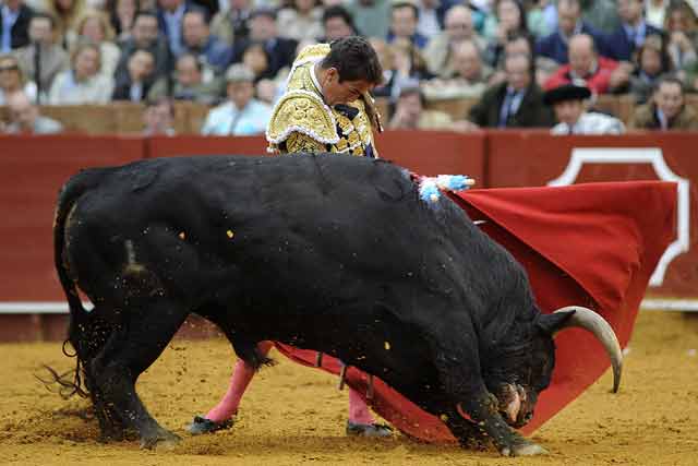 Conjunción perfecta toro-torero.