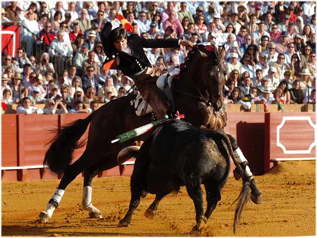 El sevillano, dando los pechos del caballo al toro.