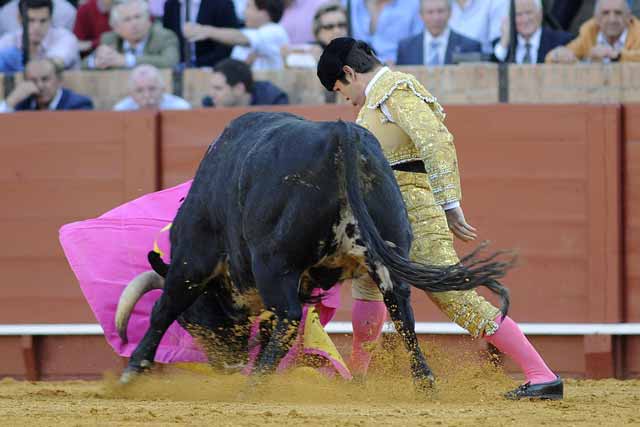 ...pero no salió el buen torero.