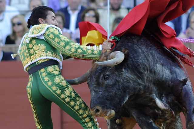 Aunque el sardo no olvidaba fácilmente su presa. 