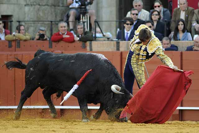 Profundidad y naturalidad en los muletazos.