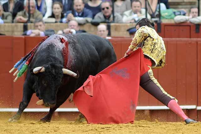 Y la torería del final.