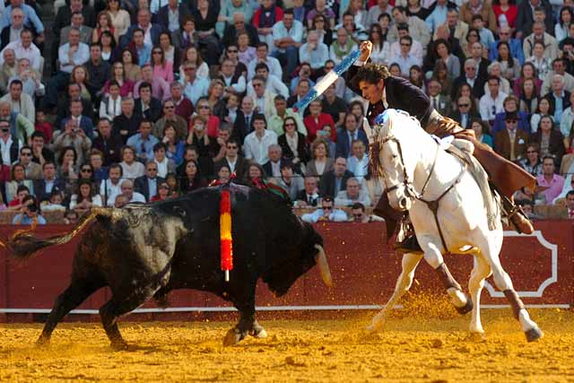 Ganándole el terreno al toro para clavar.