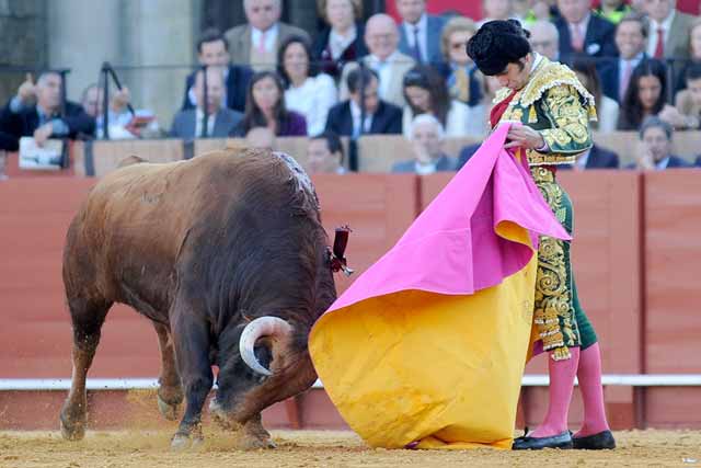 Morante con el capote; llega la canela fina...