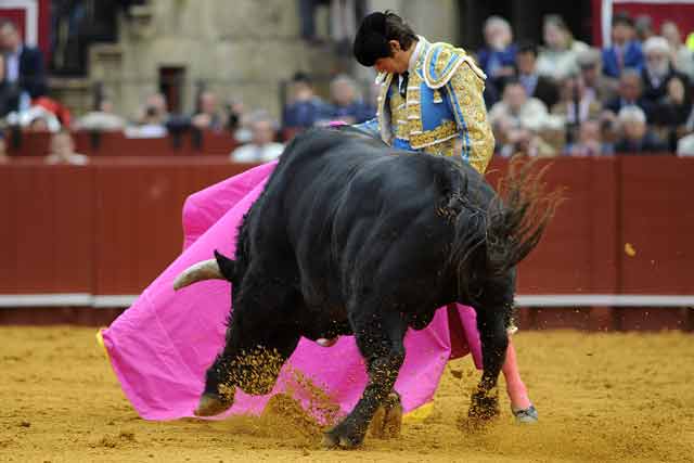 Original el diseño y el bordado del vestido nazareno y oro del torero francés.