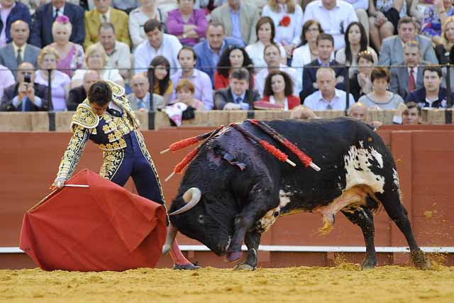 David anduvo con este toro con la cabeza muy despejada