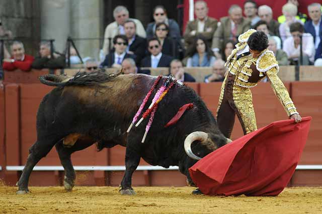 Miguel Ángel Delgado ante el quinto.