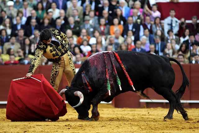 Morante, el artista del toreo sevillano.