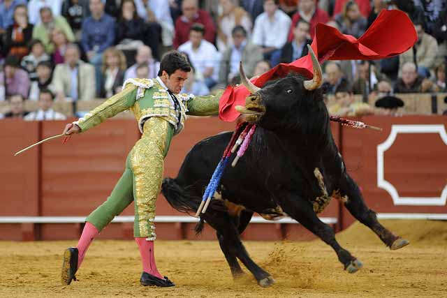 De pitón rabo...