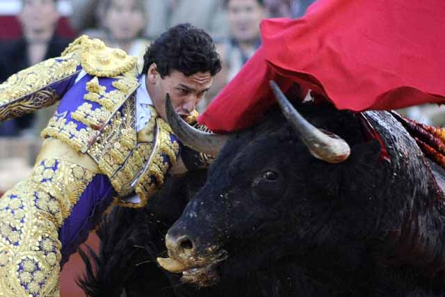 Oliva Soto, completamente concentrado hacia el triunfo.