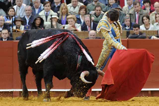 El toro totalmente embarcado mediado el pase de pecho.