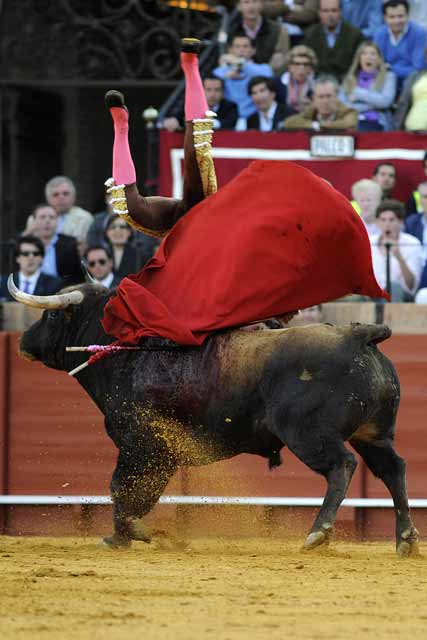 Y al final terminó corneando el tororo de Écija.