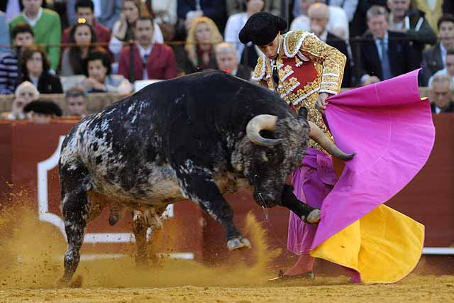 Antonio Nazare con el sexto y ultimo toro de la corrida.