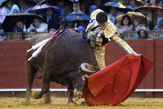 Toro y torero se funden en una misma materia llena de compás.