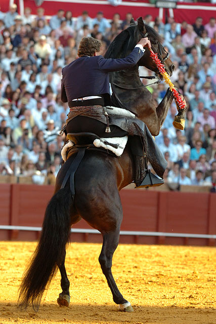 Espectacular cite de Fermín.