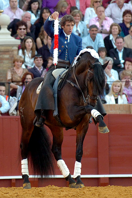 Turno del navarro.