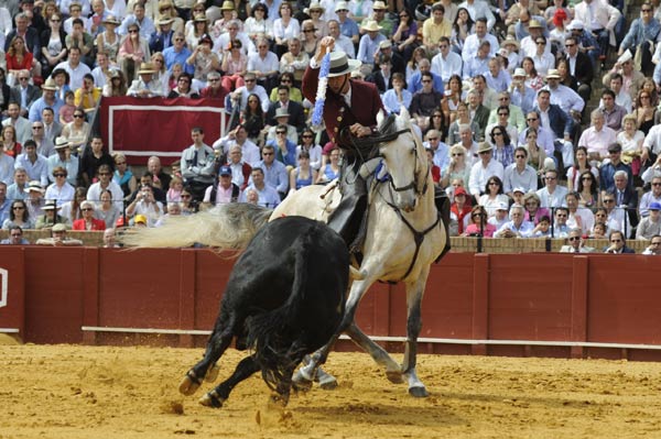 Antonio Domecq coloca una banderilla. (FOTO: Matito)