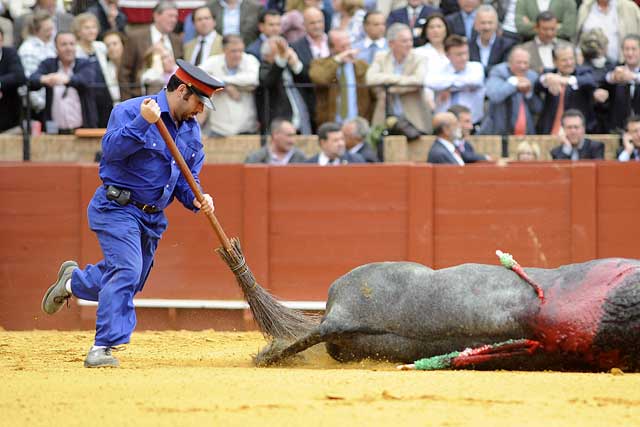 El arenero recoge hasta lo más mínimo, corriendo tras el arrastre. (FOTO: Matito)