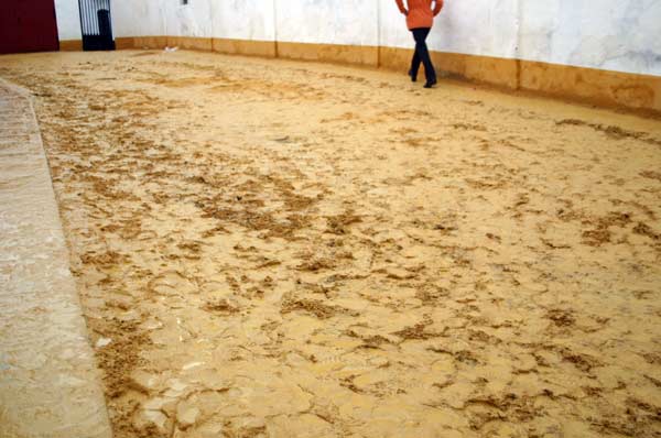 La zona donde 'calentaban' los rejoneadores el domingo debe ser repasada. (FOTO: Javier Martínez)