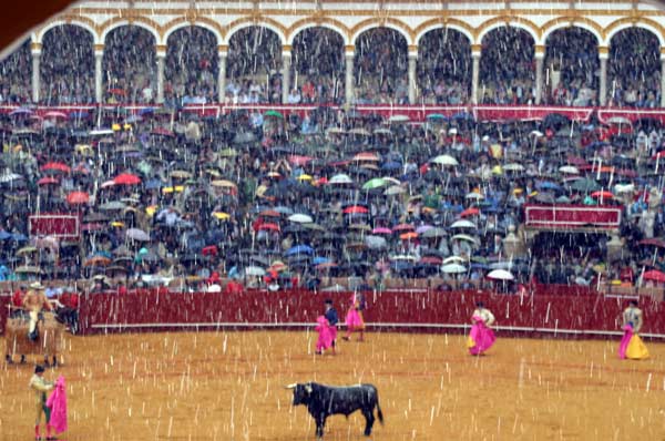 Del sol se pasó a un auténtico diluvio de goterones en el quinto. (FOTO: Javier Martínez)