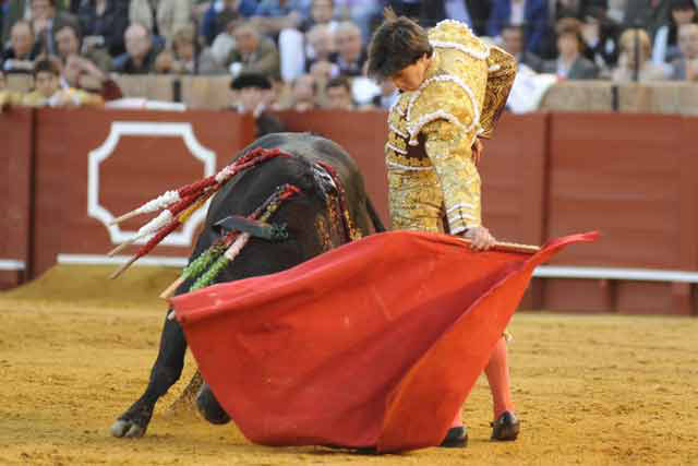 Esaú Fernández al natural con un buen novillo. (FOTO: Matito)