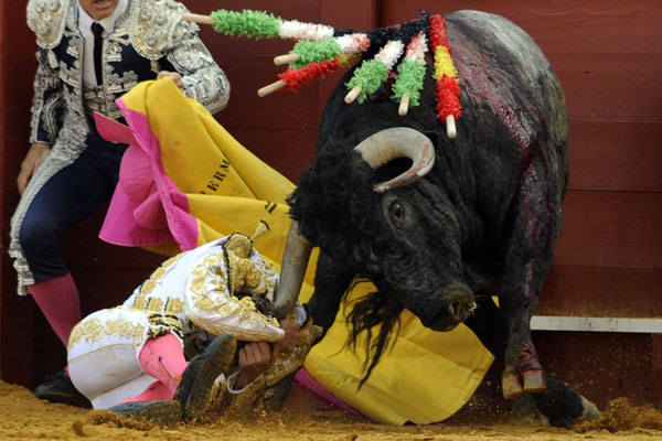 El primero de la tarde voltea a Antonio Ferrera ne banderillas. (FOTO: Matito)