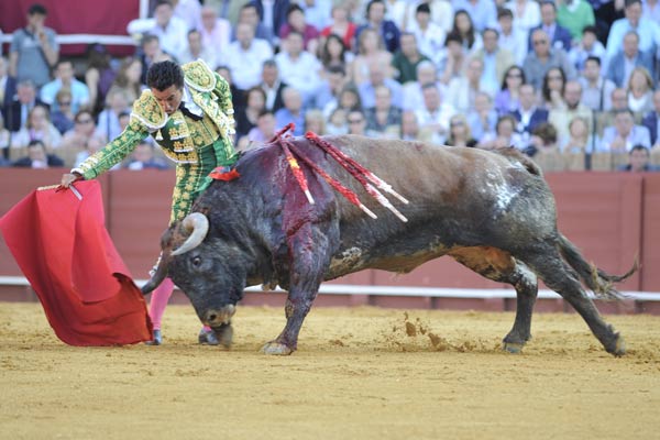 El Fundi en un largo derechazo al cuarto astado de Miura. (FOTO: Matito)