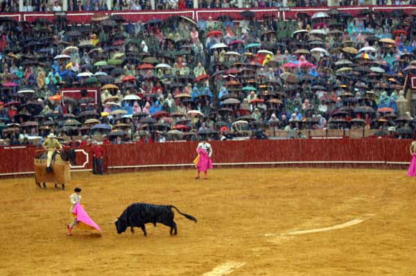 Arrecia la lluvia en la Maestranza y desluce el espectáculo. (FOTO: Javier Martínez)