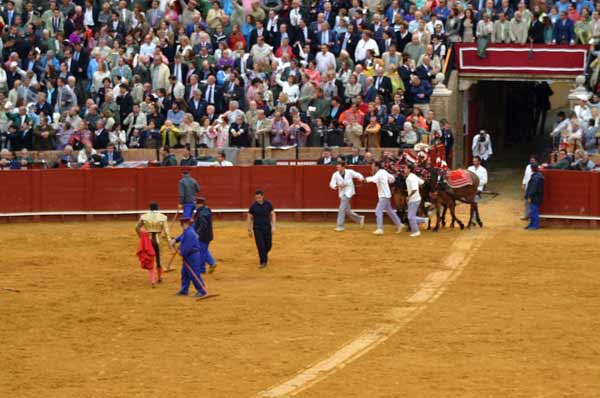 Las mulillas tardaron en salir en el quinto... (FOTO: Javier Martínez)