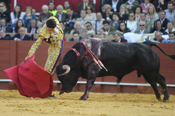 Perfecto el muletazo del sevillano. (FOTO: Matito)