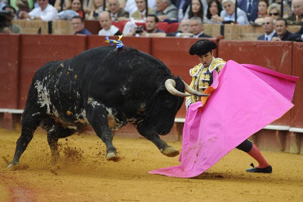 Rivera Ordóñez recibiendo al toro con el capote. (FOTO: Matito)