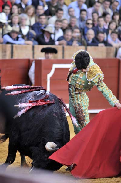 Gran natural de Talavante. (FOTO: Matito)